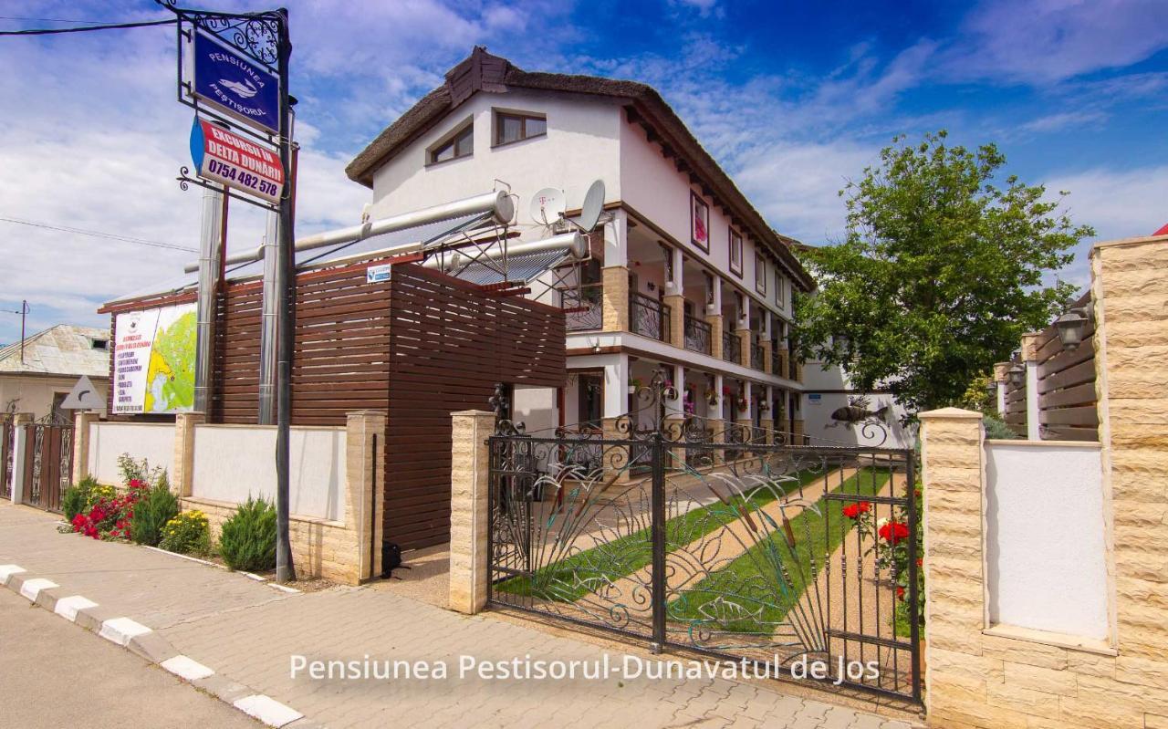 Pensiunea Pestisorul Dunavatu de Jos ภายนอก รูปภาพ