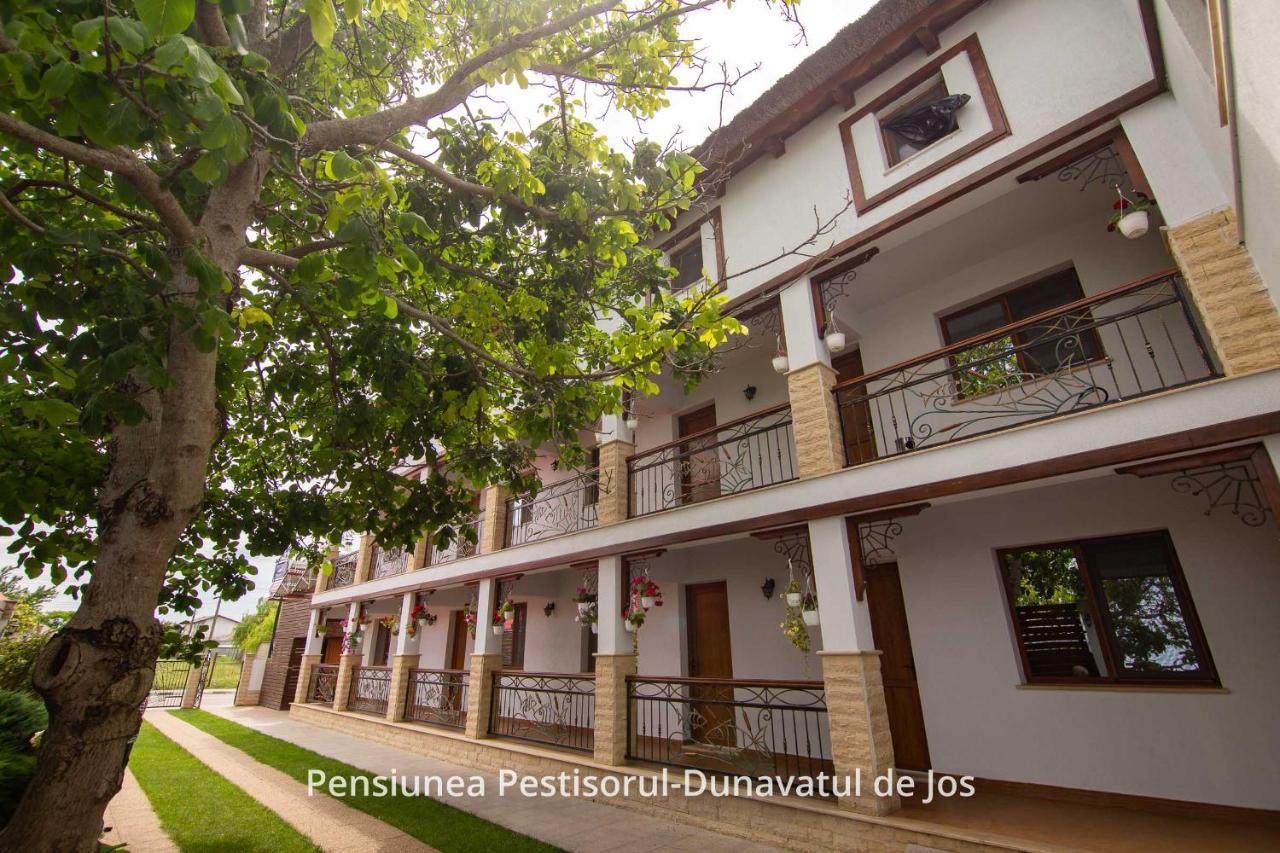 Pensiunea Pestisorul Dunavatu de Jos ภายนอก รูปภาพ