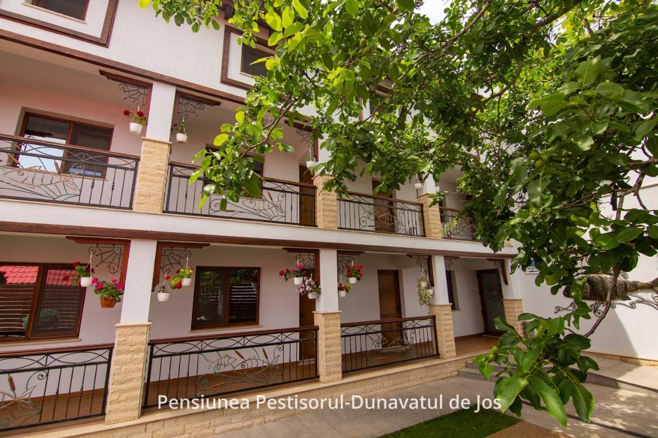 Pensiunea Pestisorul Dunavatu de Jos ภายนอก รูปภาพ