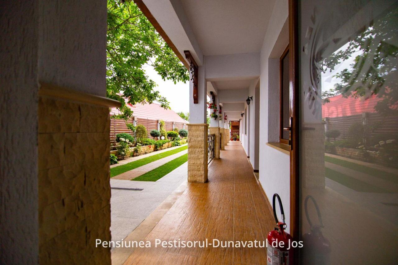 Pensiunea Pestisorul Dunavatu de Jos ภายนอก รูปภาพ