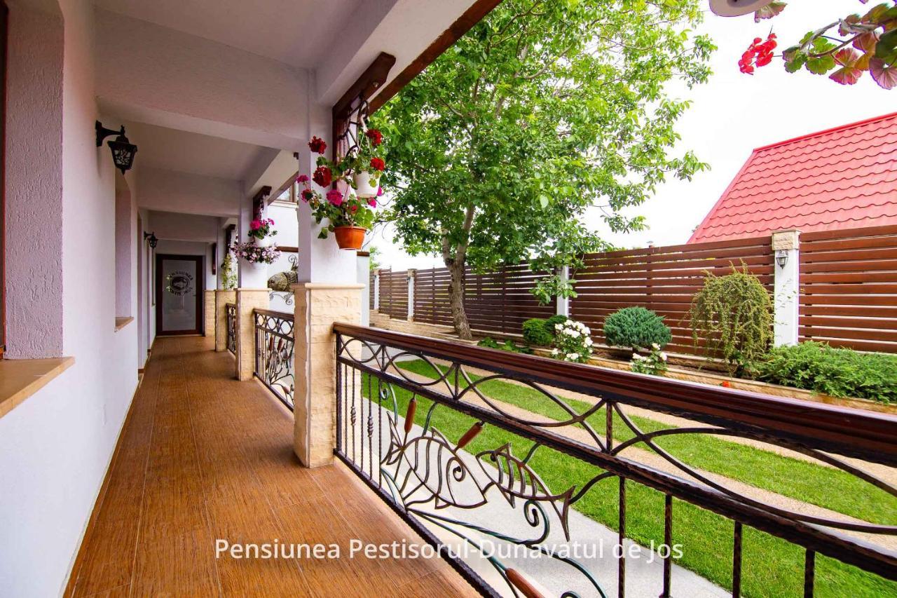 Pensiunea Pestisorul Dunavatu de Jos ภายนอก รูปภาพ