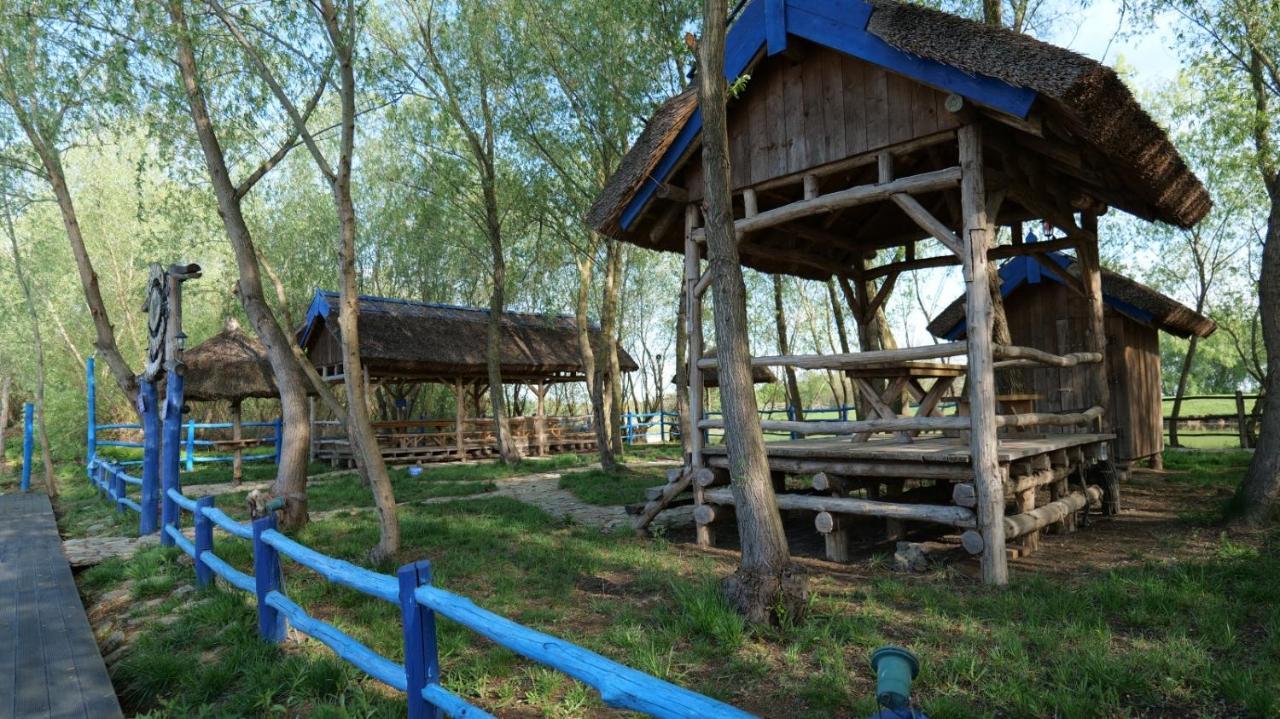 Pensiunea Pestisorul Dunavatu de Jos ภายนอก รูปภาพ