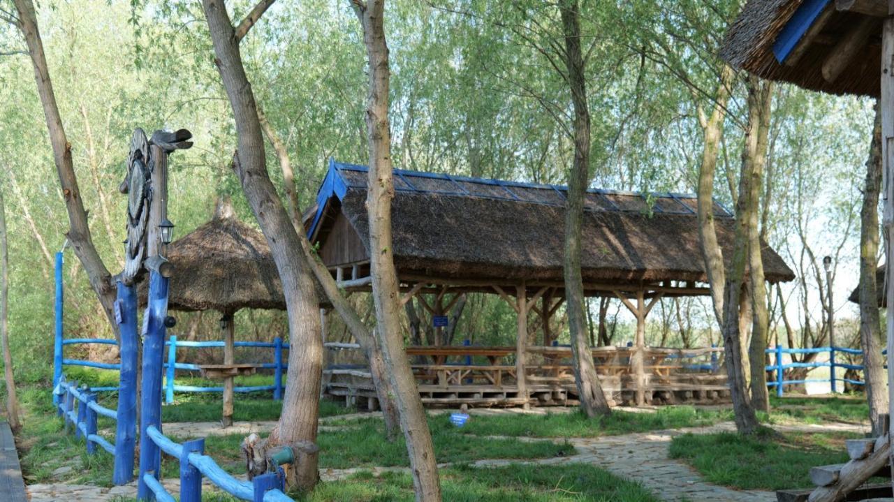 Pensiunea Pestisorul Dunavatu de Jos ภายนอก รูปภาพ